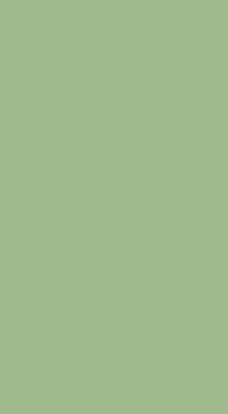 Polos Soft Olive A