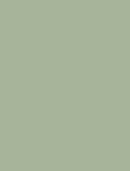 Polos Matcha (Twill)