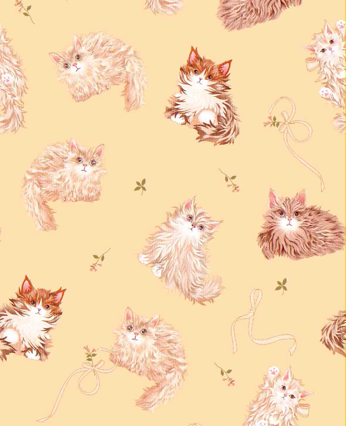 Pretty Cat2