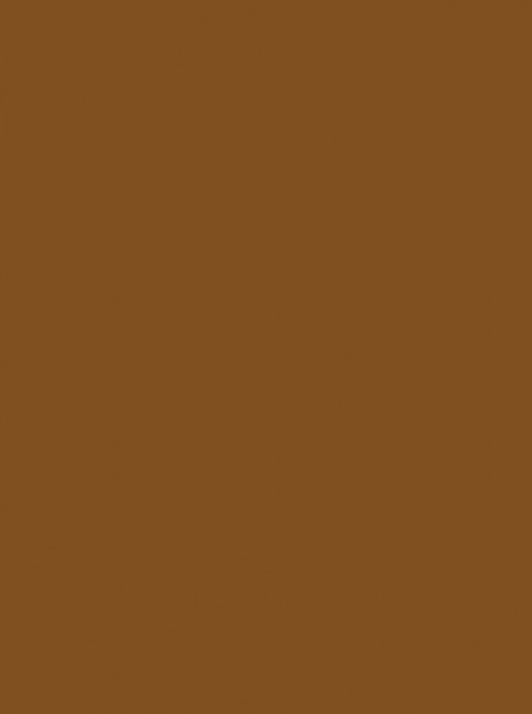 Polos Coklat Kopi