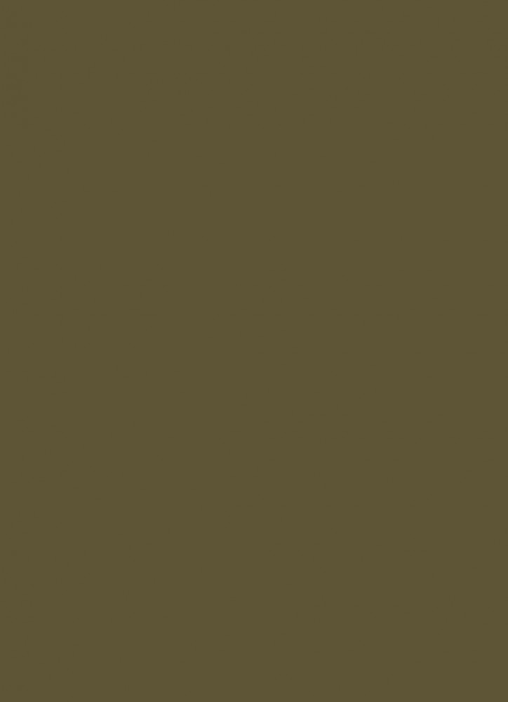 Polos Olive