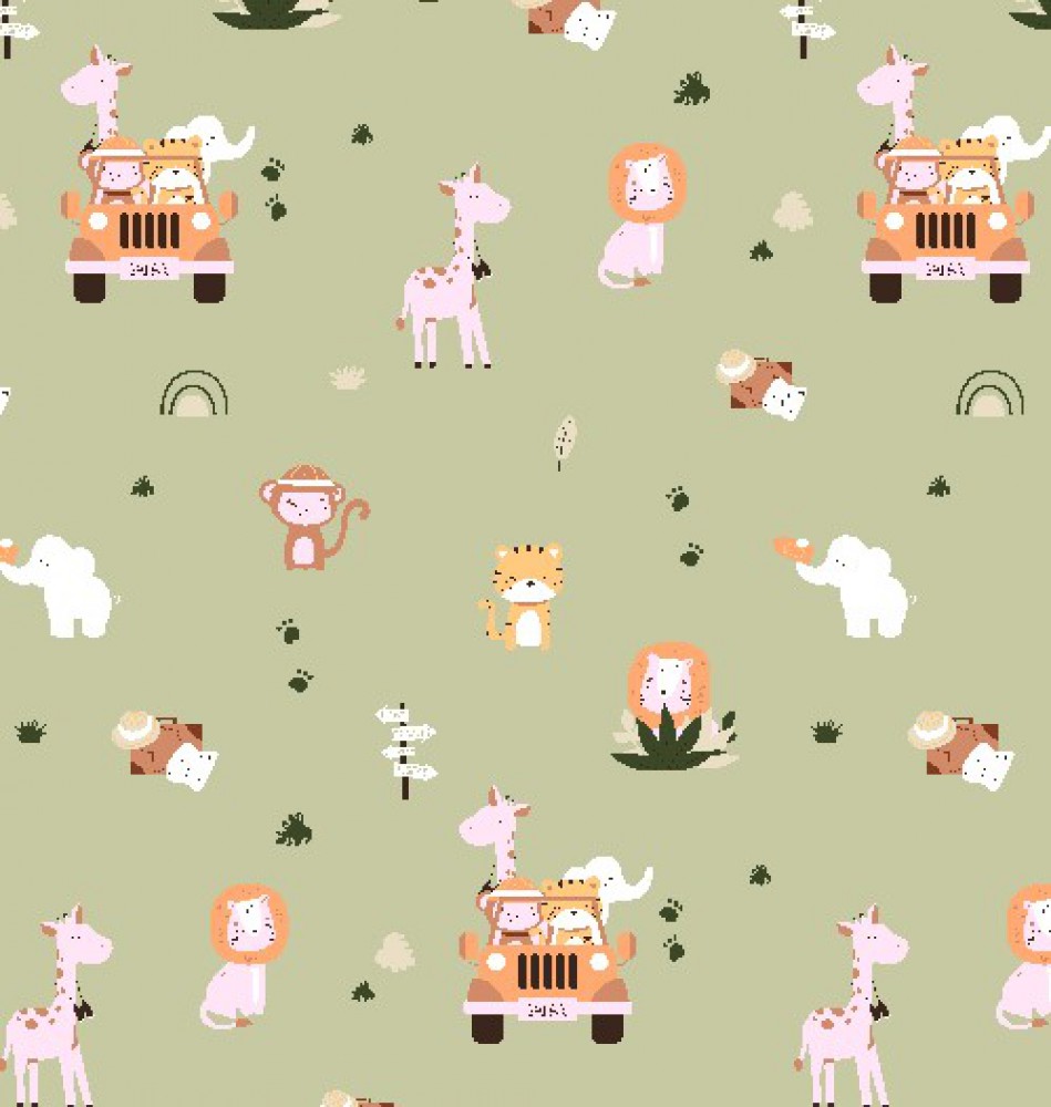 Safari