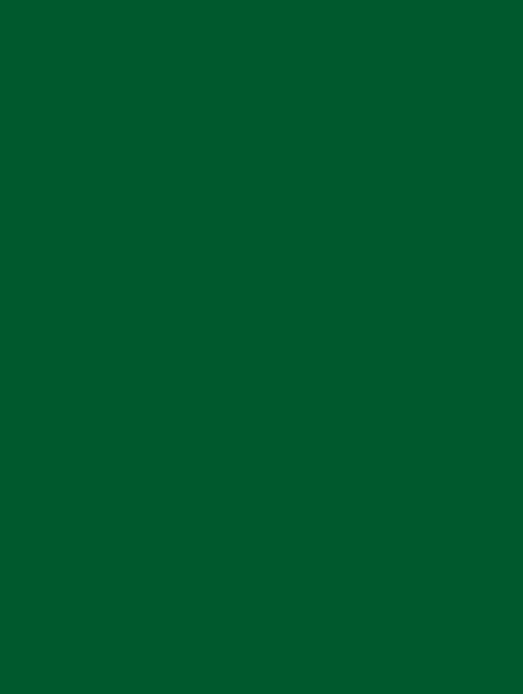 Rt-Jj041