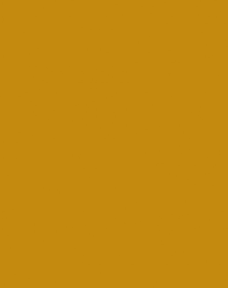 Rt-Mst058